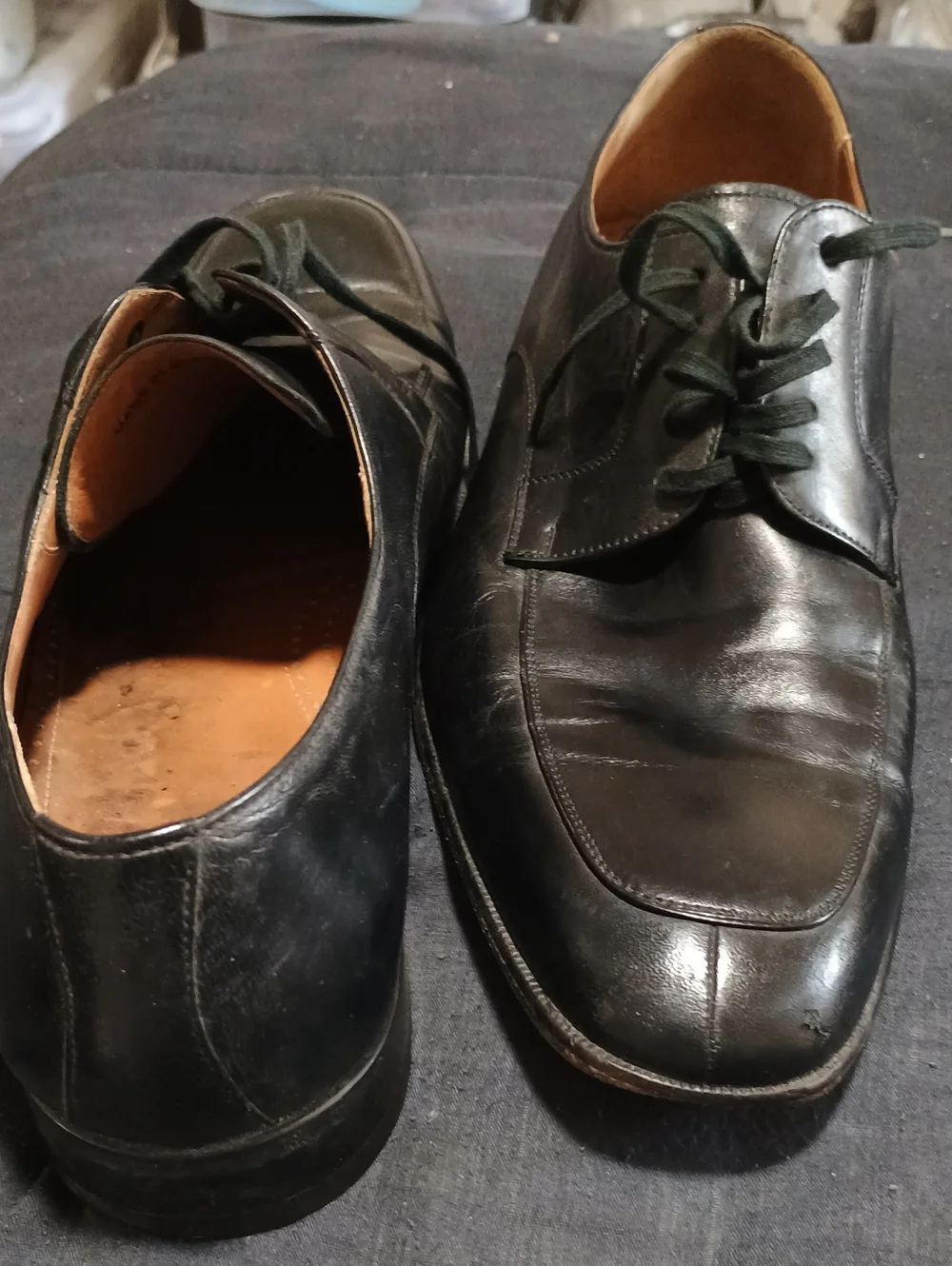 Magnanni Black Leather Derby Shoes with Dark Green Laces (252) 12